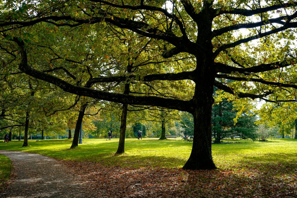 Addiction & Mental Health Treatment Near Bethel Park, PA