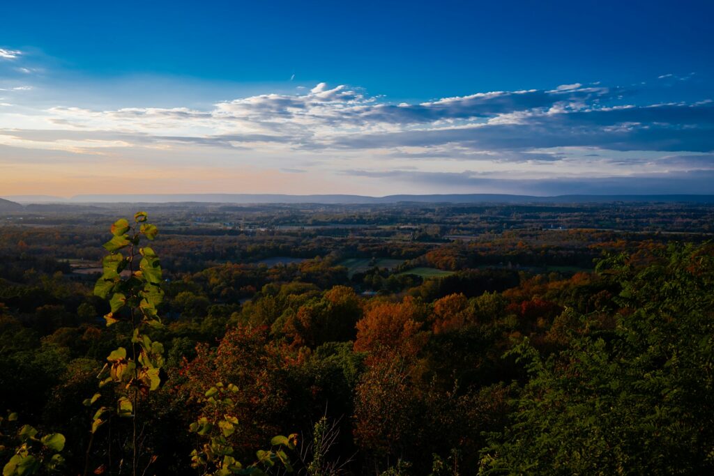 Addiction and Mental Health Treatment Near Peters Township
